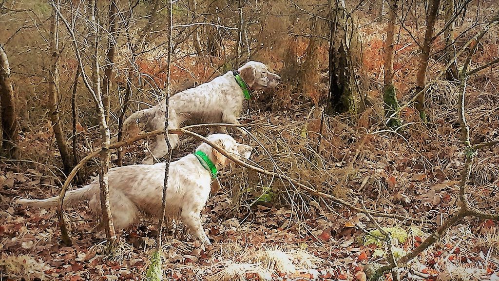 du champ de la patience - LARA et LILY