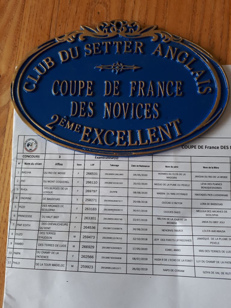 du champ de la patience - COUPE de FRANCE des NOVICES CSA 2021