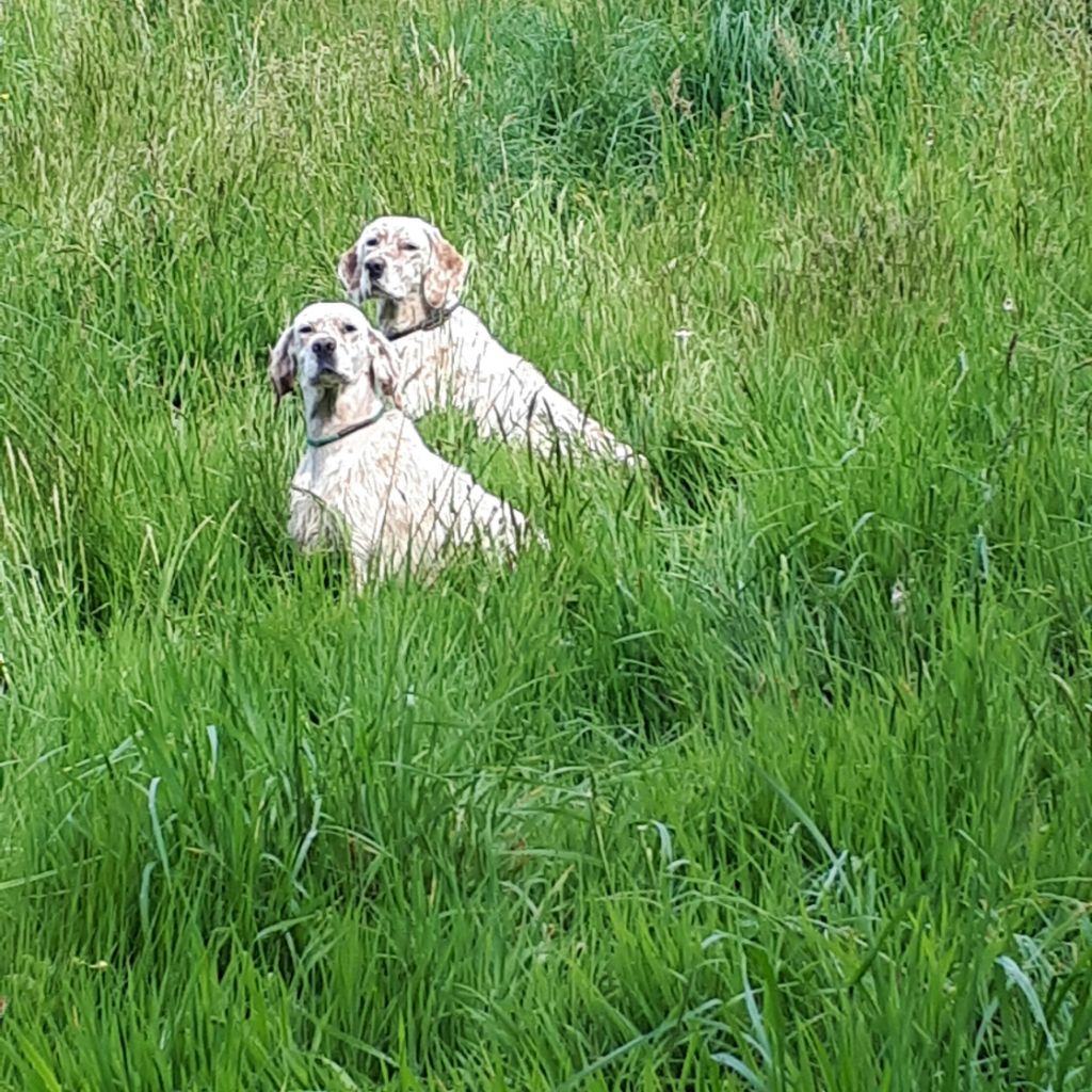 du champ de la patience - LARA et LILY au TOP