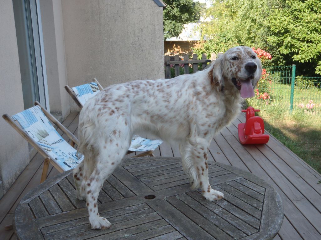 Lara du champ de la patience