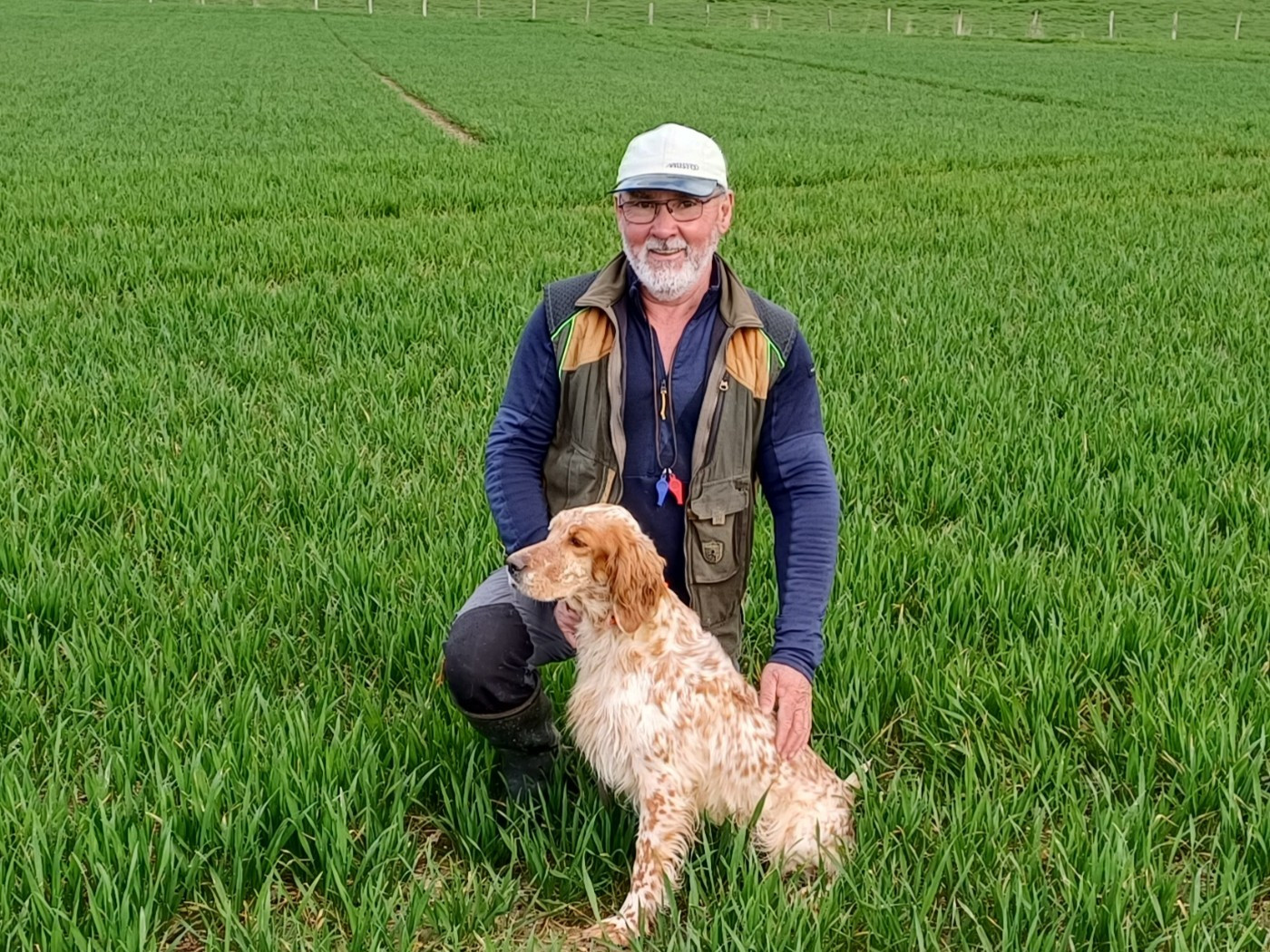 Printemps 2026 - Silène du CHAMP de la PATIENCE
